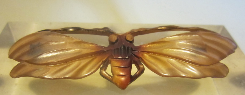 art nouveau dragonfly pin brooch, hand carved horn. ca. 1900.