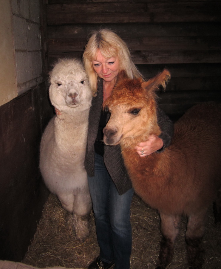 Our alpaca's Silver Moon & Apache 